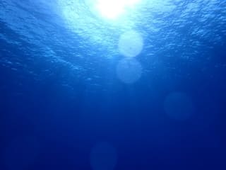 海