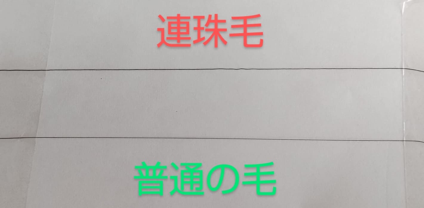 連珠毛と普通の毛比較