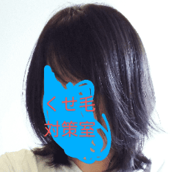 サロニアヘアアイロン使用前